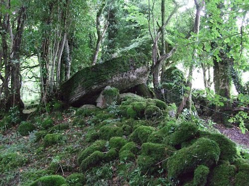 theoldstone:The Meehambee Dolmen is a portal tomb dating back to 3500 BC located in Ireland. It was 