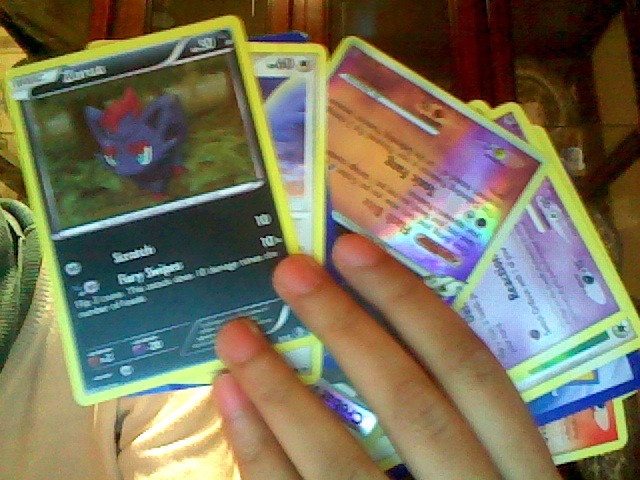 woofharley:  its called: a pokemon giveaway i lost my other giveaway so heres a new