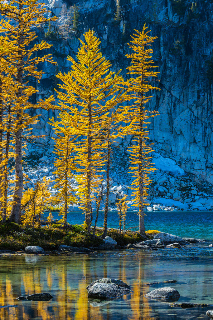 owakolf:  Nature Blog 