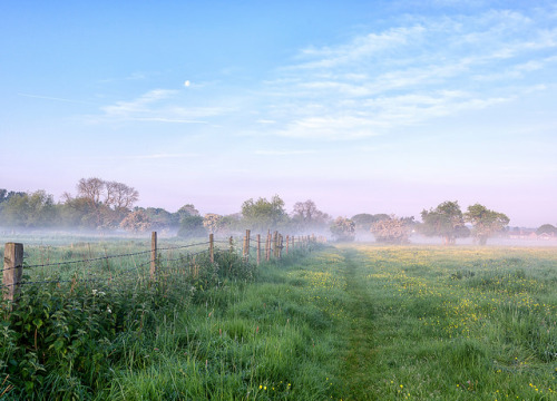 Morning Mist by jactoll on Flickr.