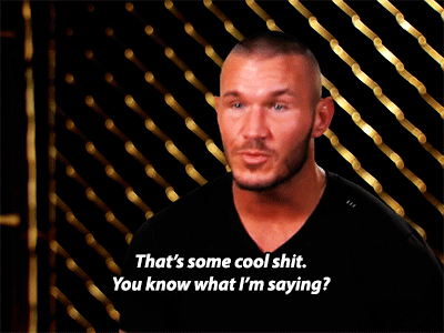 thefailedheel:  [GIFs] Randy Orton on watching porn pictures