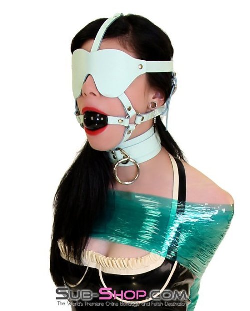 Retro Mint Green bondage leather??? It’s SOOOOOO AWESOME! :)http://www.sub-shop.com/search?type=prod