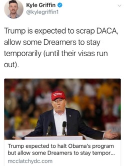 curlicuecal: nudityandnerdery:  sandalwoodandsunlight:  sandalwoodandsunlight:  Capitol switchline: (202) 224-3121 White House comment line: 202-456-1111   I have friends and family who will be directly affected if DACA is rescinded, and you probably