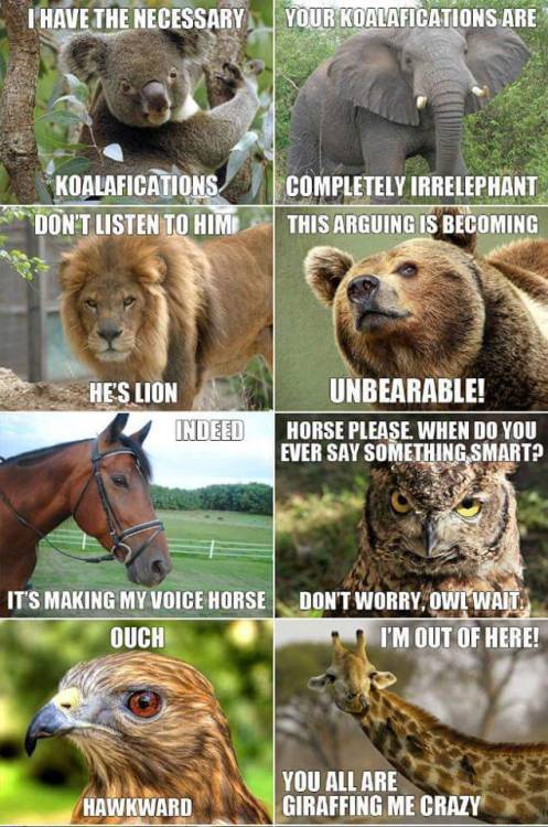 kelkel72:  These are so right up my alley… So very punny!!!