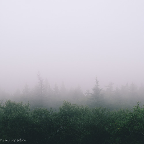 ~Cadillac Mountain~