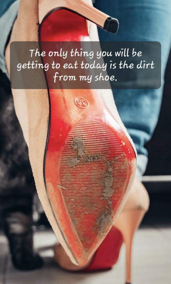 To Outsiders, The Act Of Licking The Dirt From A Woman's Shoes Would Seem Degrading, But For A Submissive