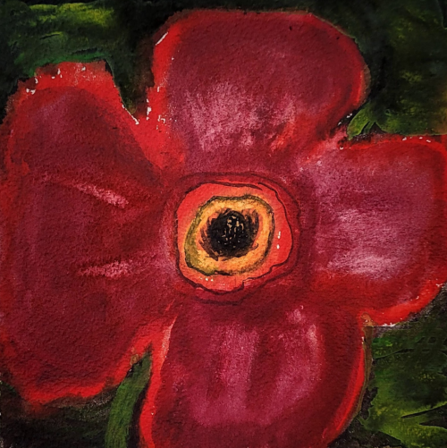 psikonauti:  Kathryn Lynch (American, b. 1961)Red Flower, 2022Watercolor on paper