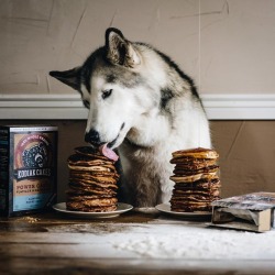 atraversso: Credit: Loki the Wolfdog