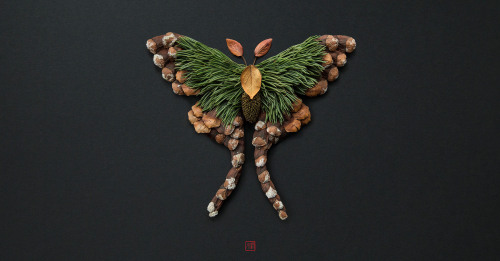 Raku Inoue ,  and his insects Raku is a “ Floral Artist Extraordinaire” who hails from Montreal , he