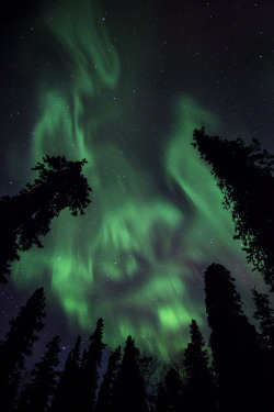 etherealvistas:  Aurora on 2/19/12 (USA) by Jacob W. Frank Photography | Website 