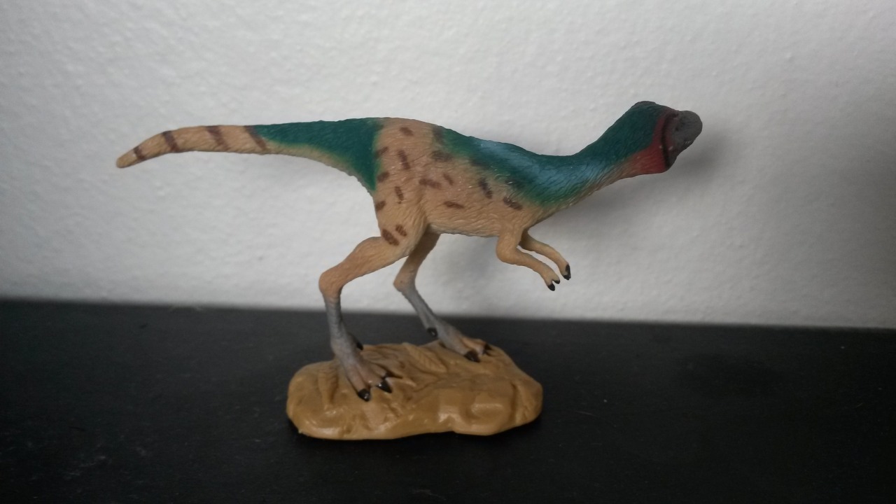 *NEW* CollectA 88697 Dinosaur Juvenile Tyrannosaurus Rex Model 9cm T-rex Trex 