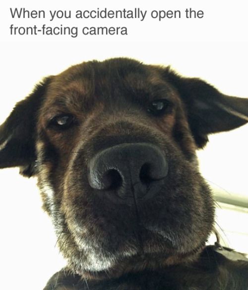 jigglyturk:I wish I looked this cute when I opened my front camera 