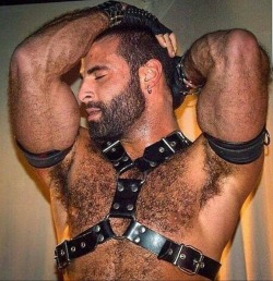 redhotbearsd: inthetrailerhood:  The fun we could have!  The only thing that smells better than leather is a hairy man’s pits! 