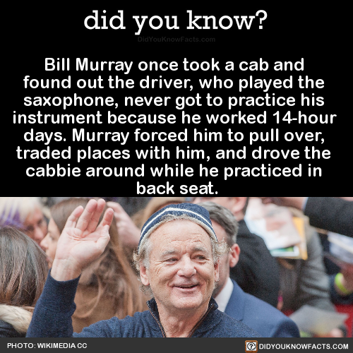 Porn did-you-kno:  Bill Murray once took a cab photos