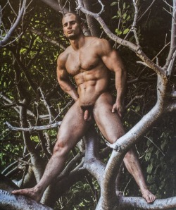 mendoitbetter:  Todd Sanfield.