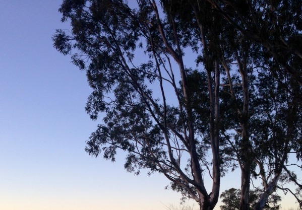 Balmy nights on holiday