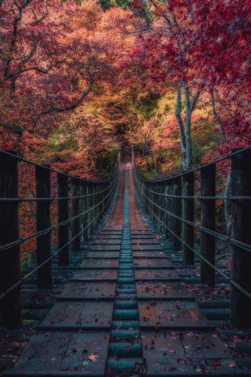 j-k-i-ng:  “Hananuki Gorge“ by | Washima12