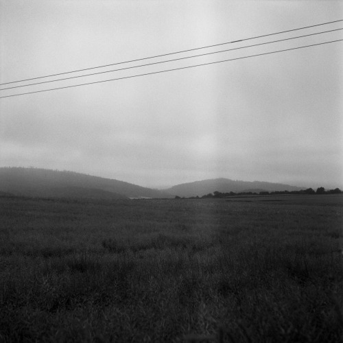 Rejvíz, Czech Republic | June 2021 | Flexaret V on Kodak Tri-X 400