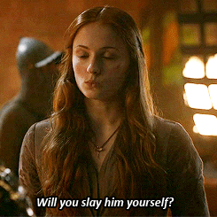 penandpage:  xerxes93:  sansastans:  Sansa Stark meme: 1/10 scenes  “Sansa!” The boyish shout rang across the yard; Joffrey had seen her. “Sansa, here!” He calls me as if he were calling a dog, she thought.   what I really love about this scene