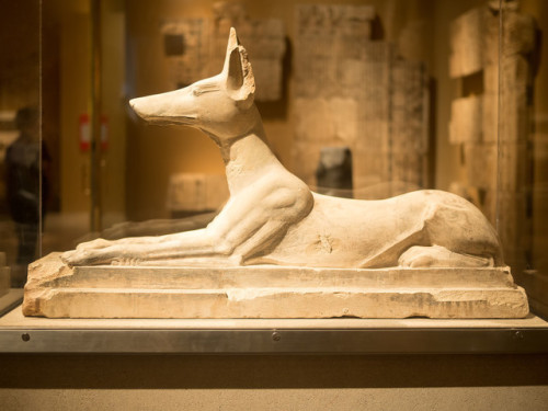 Recumbent AnubisStatue of Anubis, god of mummification and the afterlife. Limestone, originally pain