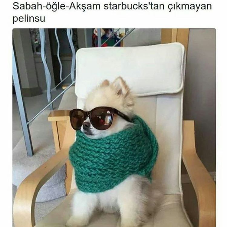 Sabah-öğle-akşam...