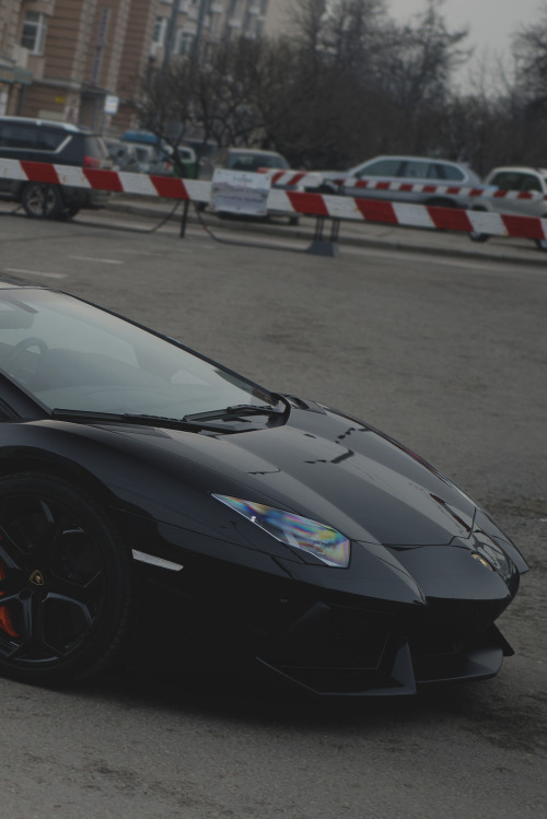 exclusive-pleasure:  Aventador 