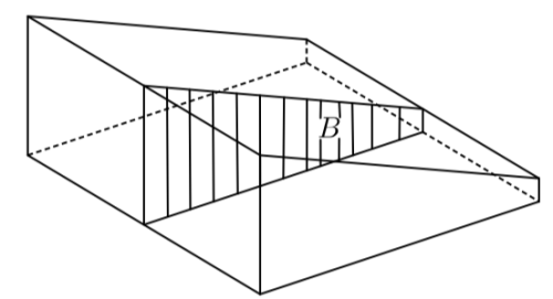 Alberto Verjovsky, Modular orbifold: arithmetic and dynamics