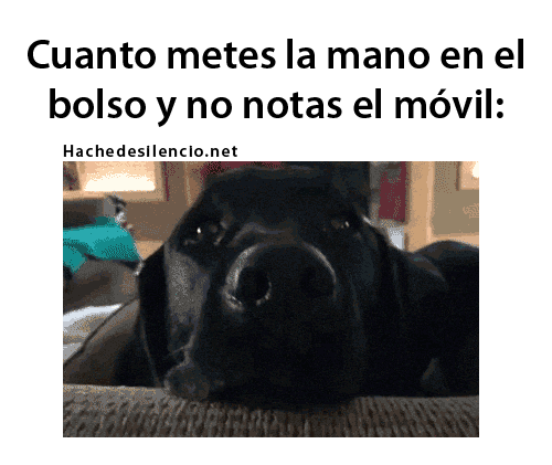 Hache de silencio