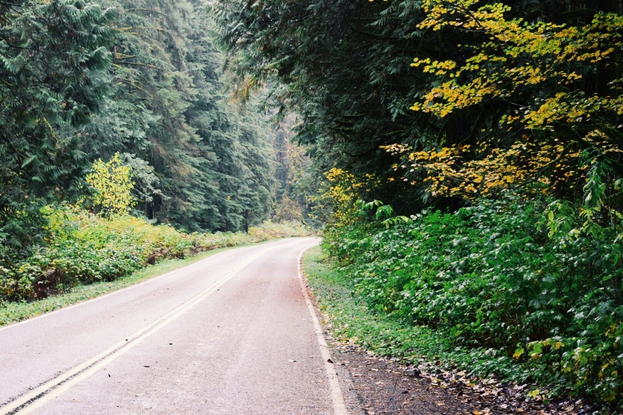 sex-lies-and-bowties:  Lost boy