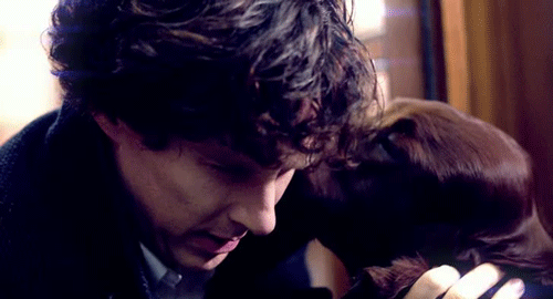 regencyrobes:  Cuteness overload. This isn’t fair, I want to be that dog. 