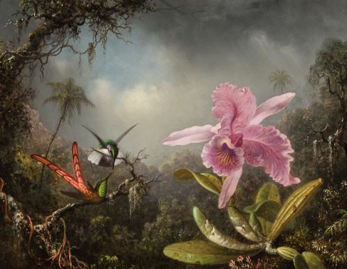 Martin Johnson Heade (American, 1819-1904, b. Lumberville, PA, USA) - Orchid with Two Hummingbirds, 