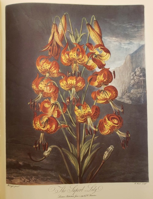 From: Dunthorne, Gordon. Flower and fruit prints of the 18th and early 19th centuries. Washington : 