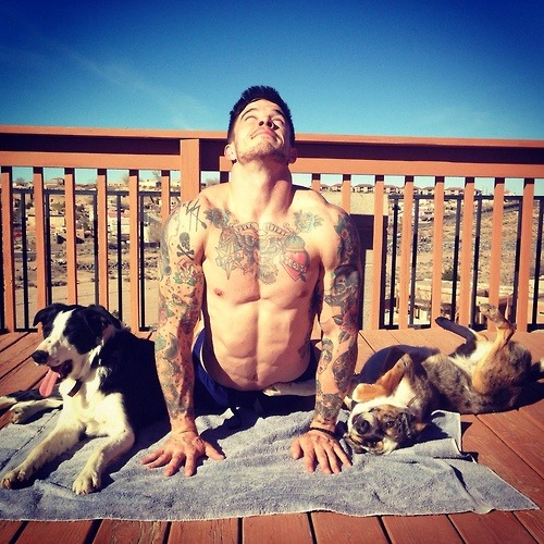 yoga doggies
