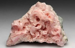 pvnkbaby:  rhodochrosite rosettes on quartz