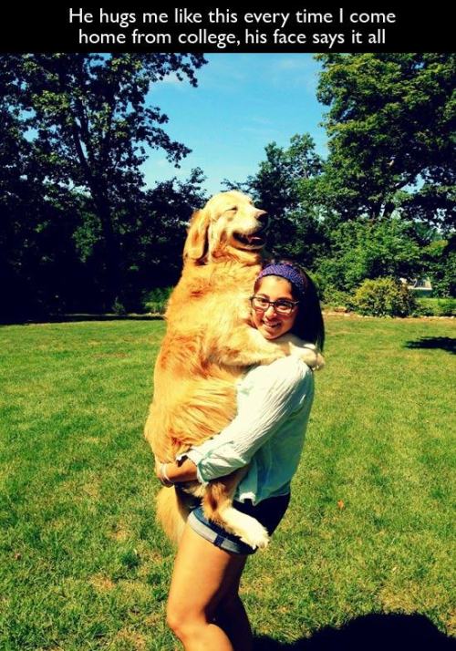 pleatedjeans:22 Animals That Really Need a Hug Right Now