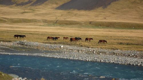 nuptse6:Kirghizistan (near Issik Kul)