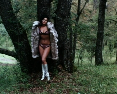 giallolooks:Isabel Sarli in Fuego (1969, Armando Bó)Isabel Sarli is little known outside of her nati