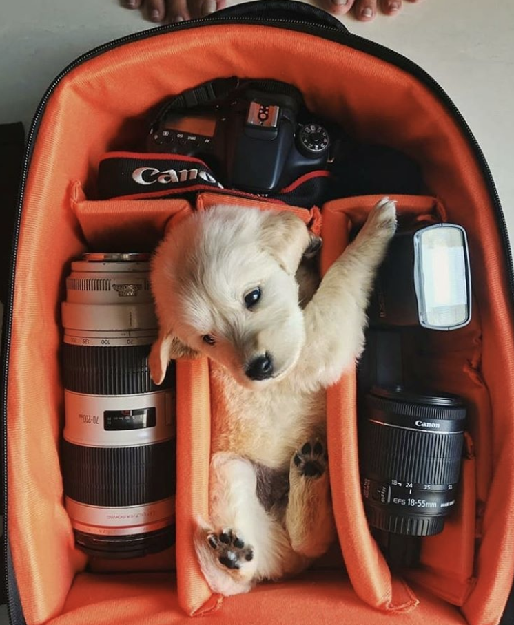 the-perfect-aesthetic:We are ready for a New York trip