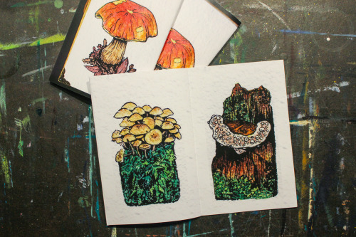 BIG shop update!! Mushroom books, calendars, all new bookmarks, sticker sheets, good omens prints AN