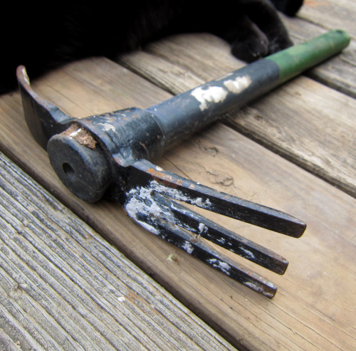 May 2015 - Garden Tools - small digging and prying hand toolsWanted to share some of our preferred (