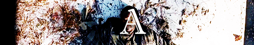 nonormynolife:TWD 4x13 Alone