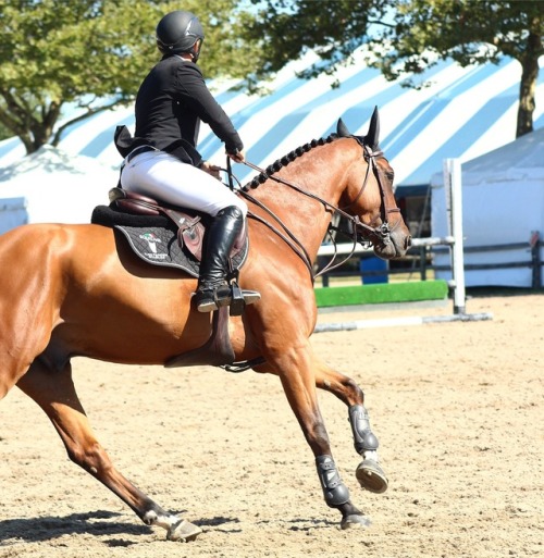 equitation