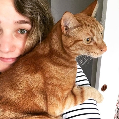 When your cat settles on your shoulder and you know you’re just stuck standing in the kitchen for a while cause he’s comfy.   #Issac #kitty #gingercat #kitty #snugglemuffin #catsofinstagram #nomakeup #mornings #morningswithcats