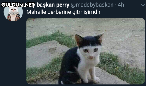 bay başkan perry...