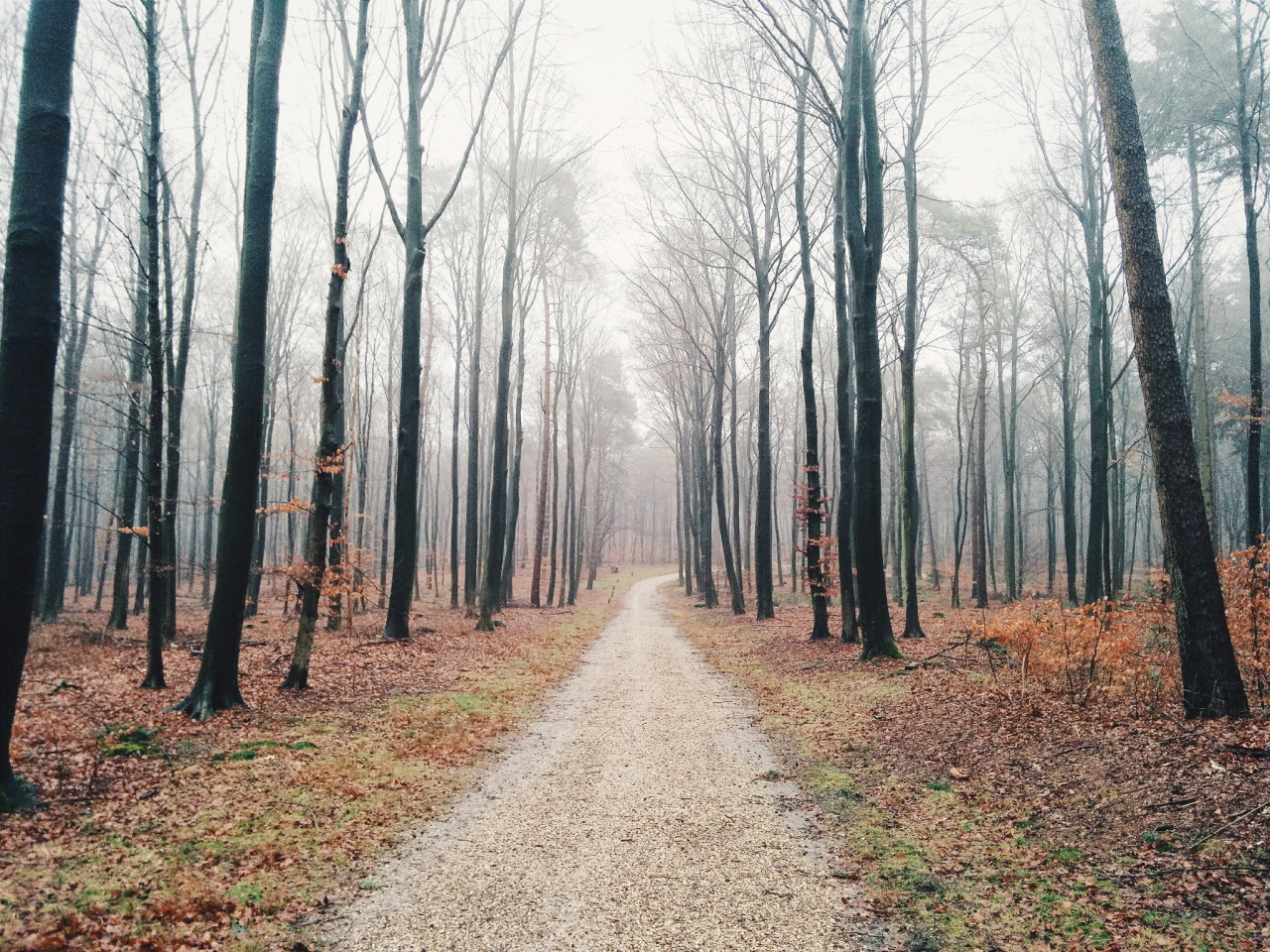landscapes-cf:  travel &amp; landscapes blog
