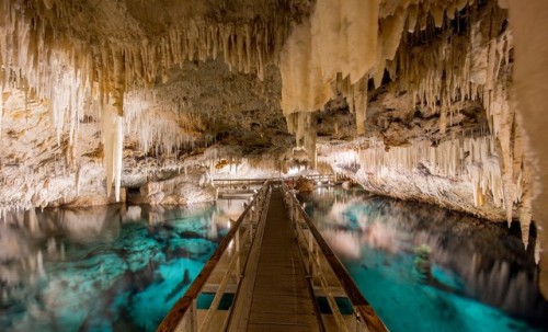 end0skeletal:Bermuda’s Crystal Caves - Approximately 1.6 million years ago during the last ice