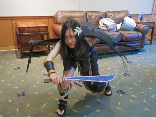 Setsucon 2015 - Part 1 of 2: Smash Bros. &amp; Fire EmblemI got a little tired of cosplaying Medic, 