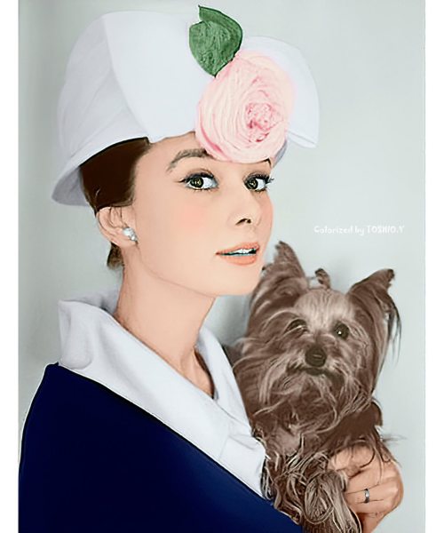 Audrey Hepburn . . . . . . #audreyhepburn #audrey #hepburn #オードリーヘップバーン #ОдриХепберн #오드리햅번 #50s #19