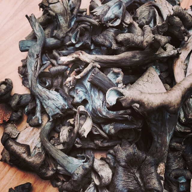 Oh the #delicious things one can do with a ½ pound of beautiful Black Trumpet mushroom. #yum #ForageForFood #CSA