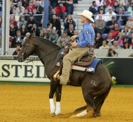 Dualin For Me(Dual Peppy x Me O Lena)1997 Chestnut AQHA StallionLTE $105,030